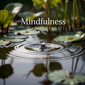 mindfulness, Holland, MI