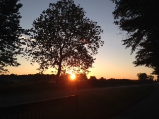 grief counseling holland, mi