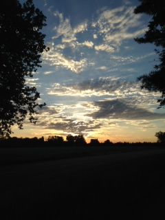 grief counseling holland, mi