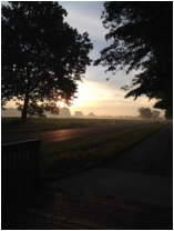 first year grief holland, mi